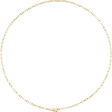 Élan 2.1 mm Paperclip Chain 14K Gold or Gold-Filled