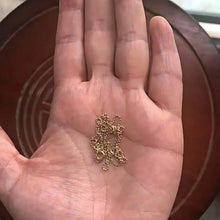 14K Gold Bean Necklace, Japanese Design, Delicate and Shiny, Very Fine, Au585 Girl Chain, kj479