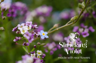 Purple Flower Huggie Earrings